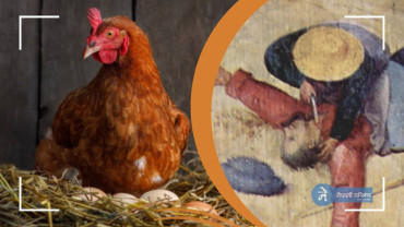 कुखुरा पहिला आयो की अण्डा ?  जवाफ नदिँदा आफ्नै साथीले १५ पटक चक्कु घोपिदिए